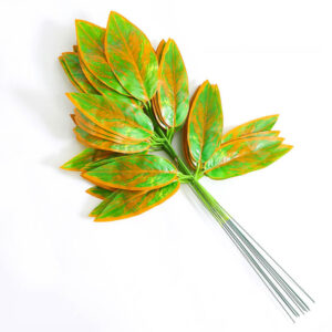 Xuanxiaotong 12pcs/set...