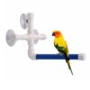 Pet Birds Wall Suction...