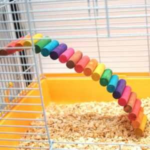 Bird Rainbow Wooden Pet...